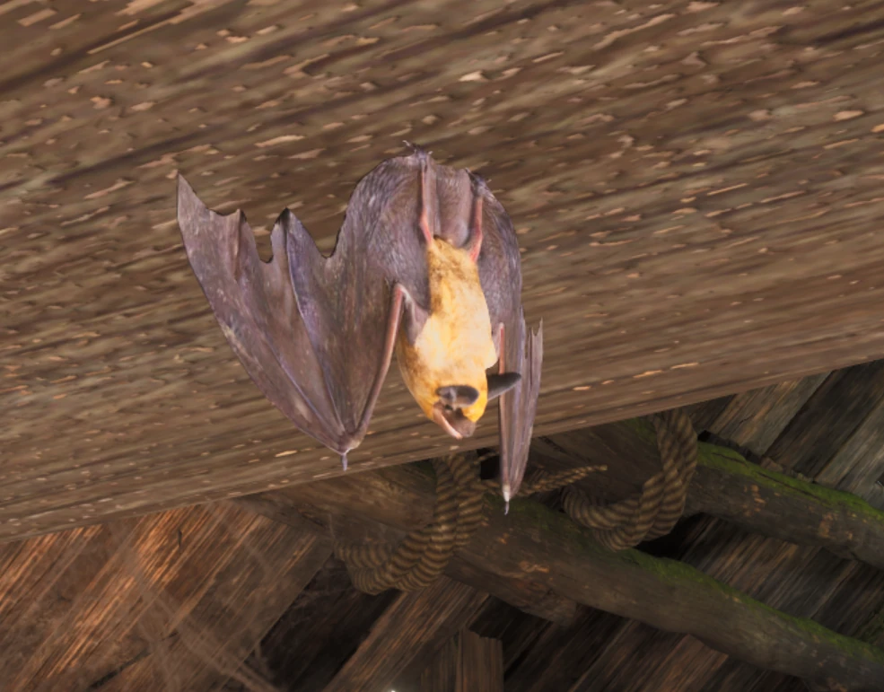 A bat hangs upside down from a wooden beam in the Sorcery level.